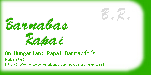 barnabas rapai business card